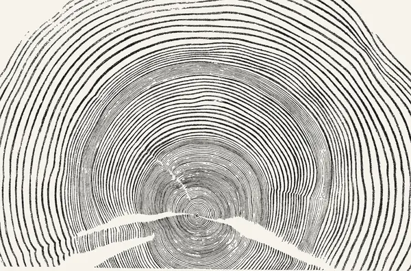 The 1894 ink impression of a black spruce stump that the print's rings come from.