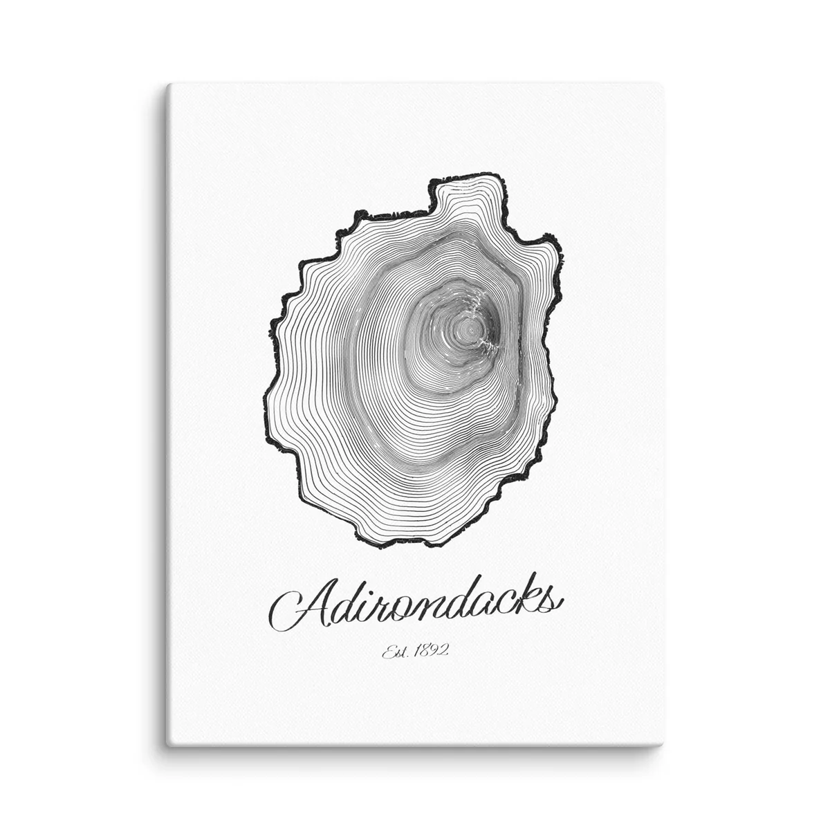 Adirondack Park Tree Ring as a 12 by 16 inch canvas: the rings of an Adirondack black spruce drawn in the shape of the Adirondack Park, with Adirondacks, Est. 1892 painted below.