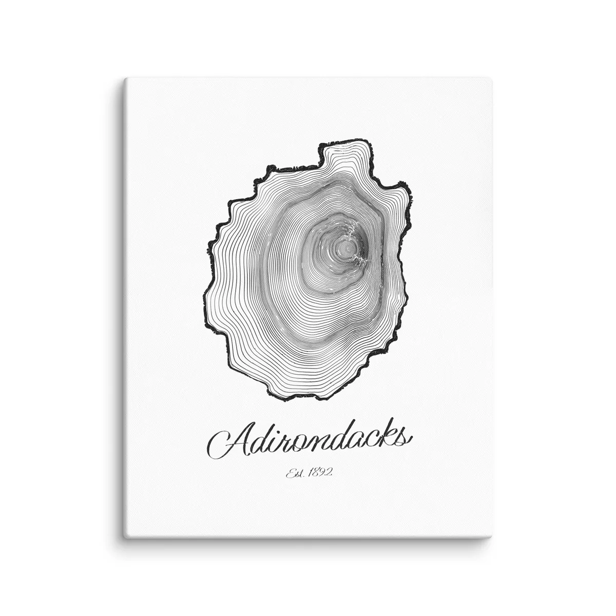 Adirondack Park Tree Ring as a canvas: the rings of an Adirondack black spruce drawn in the shape of the Adirondack Park, with Adirondacks, Est. 1892 painted below.