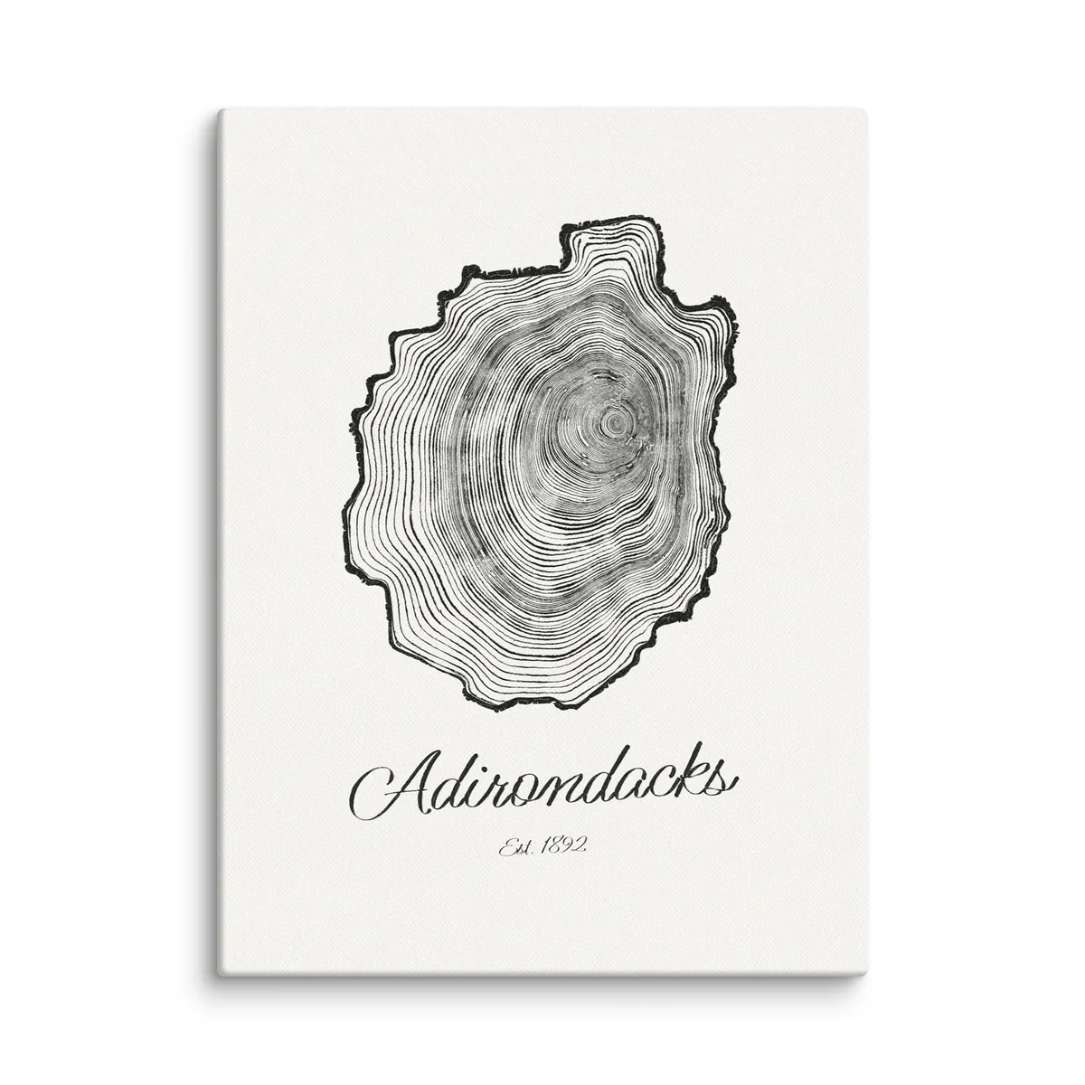 Adirondack Park Tree Ring as a 12 by 16 inch canvas: the rings of an Adirondack black spruce drawn in the shape of the Adirondack Park, with Adirondacks, Est. 1892 painted below.