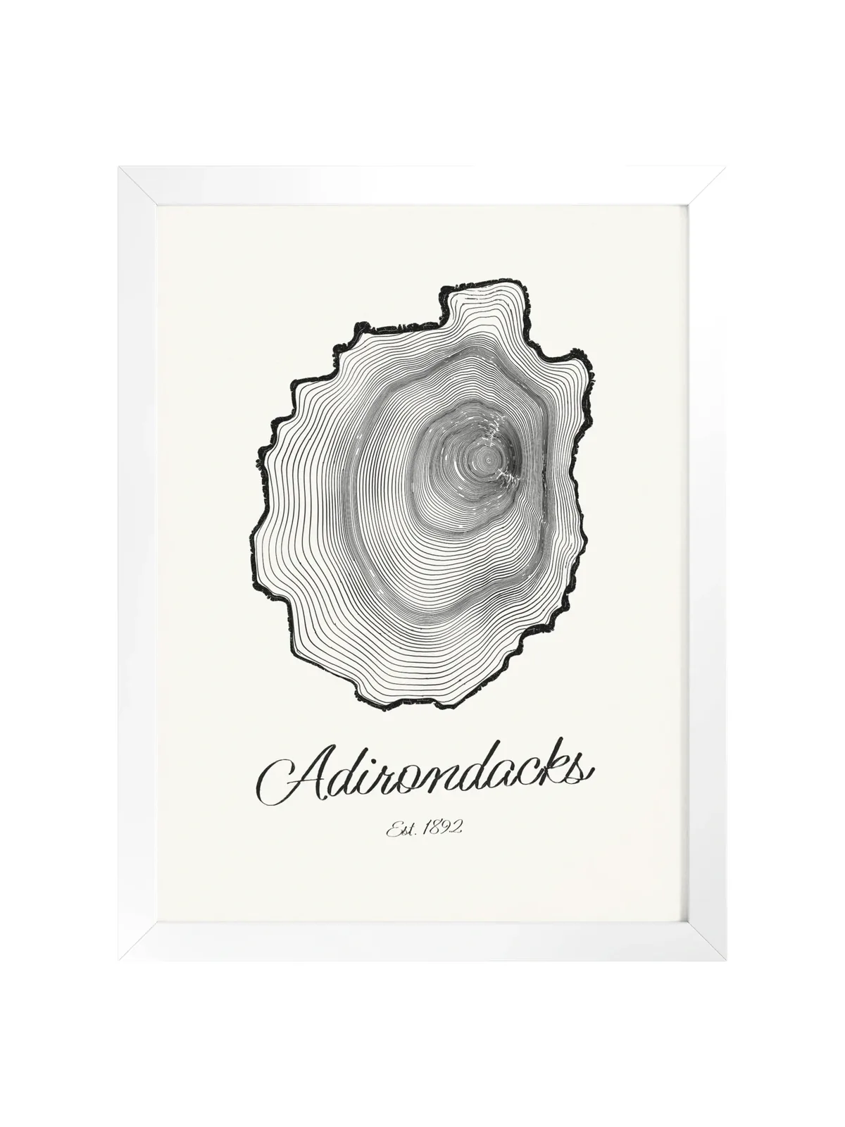 Adirondack Park Tree Ring as a framed print in a white frame: the rings of an Adirondack black spruce drawn in the shape of the Adirondack Park, with Adirondacks, Est. 1892 painted below.