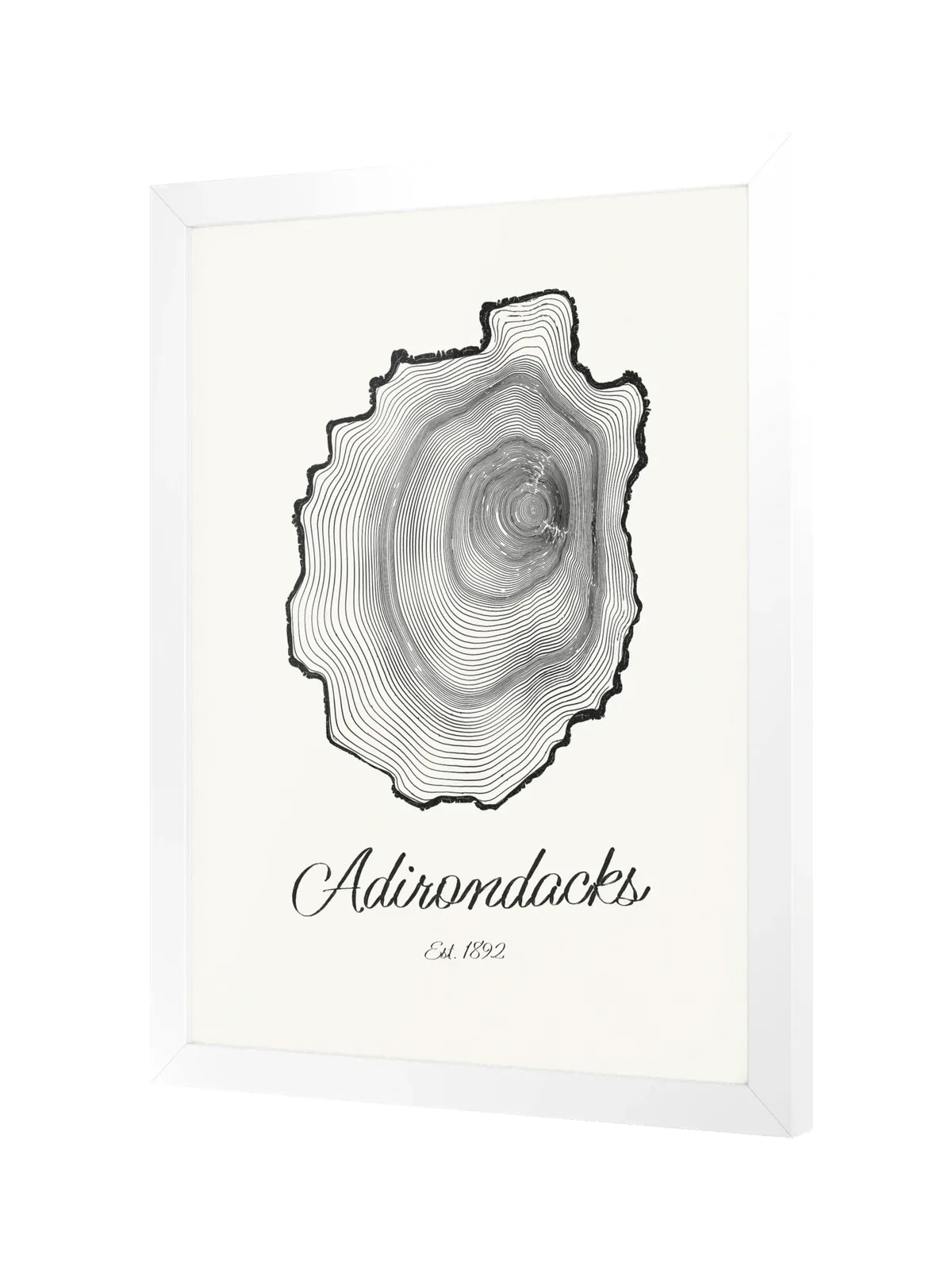 Adirondack Park Tree Ring as a framed print in a white frame: the rings of an Adirondack black spruce drawn in the shape of the Adirondack Park, with Adirondacks, Est. 1892 painted below.