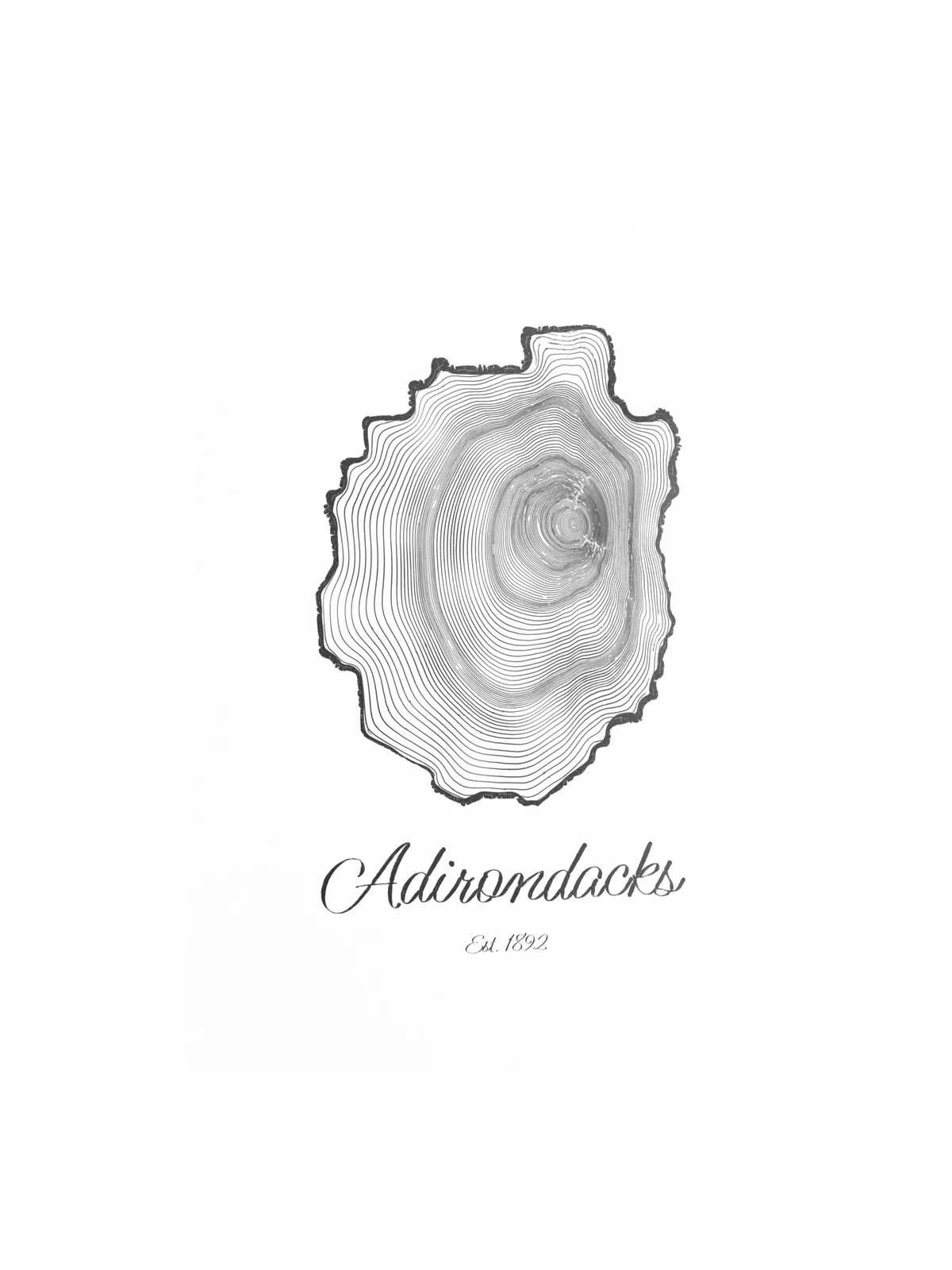 Adirondack Park Tree Ring as a poster: the rings of an Adirondack black spruce drawn in the shape of the Adirondack Park, with Adirondacks, Est. 1892 painted below.