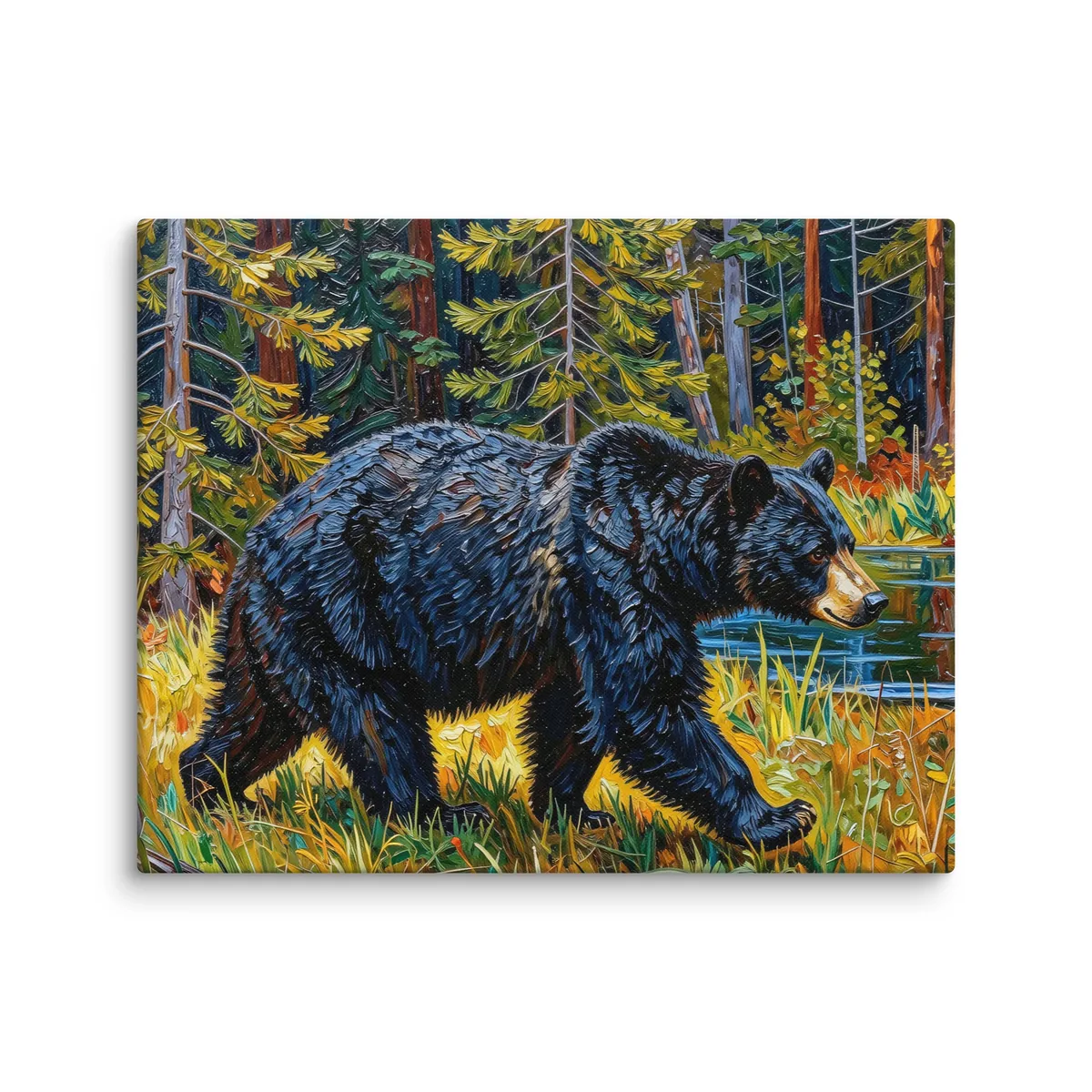Black Bear at the Edge of the Woods as a 16 by 20 inch canvas: a black bear walking out of the spruce at the edge of a lake through tall grass in evening sun, in bold oil-painting brushstrokes.