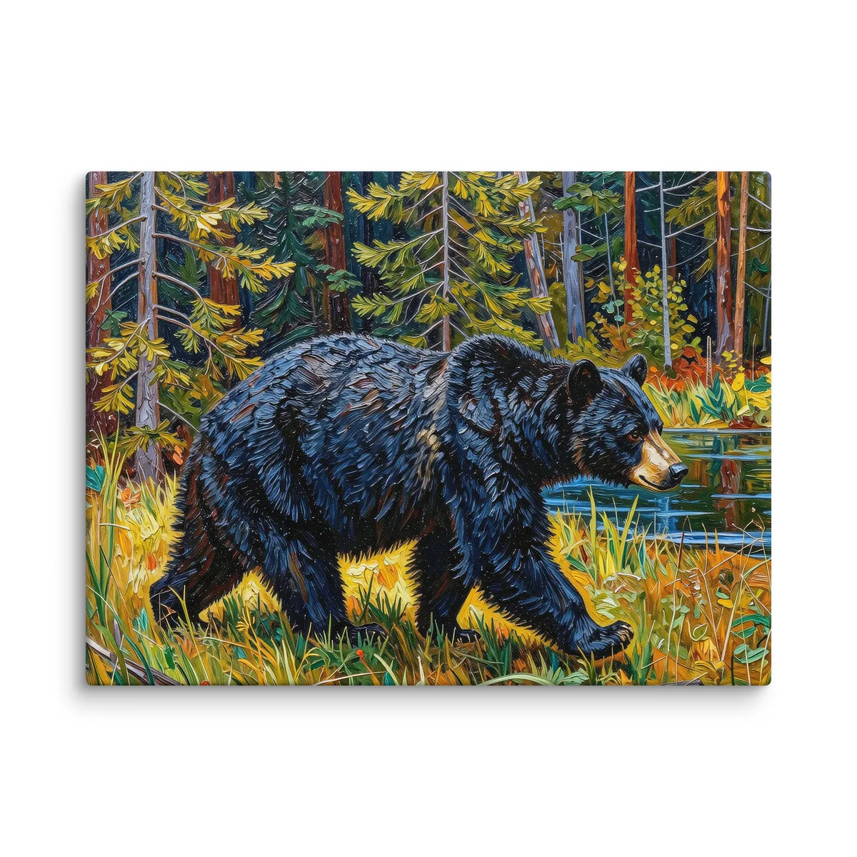 Black Bear at the Edge of the Woods as an 18 by 24 inch canvas: a black bear walking out of the spruce at the edge of a lake through tall grass in evening sun, in bold oil-painting brushstrokes.