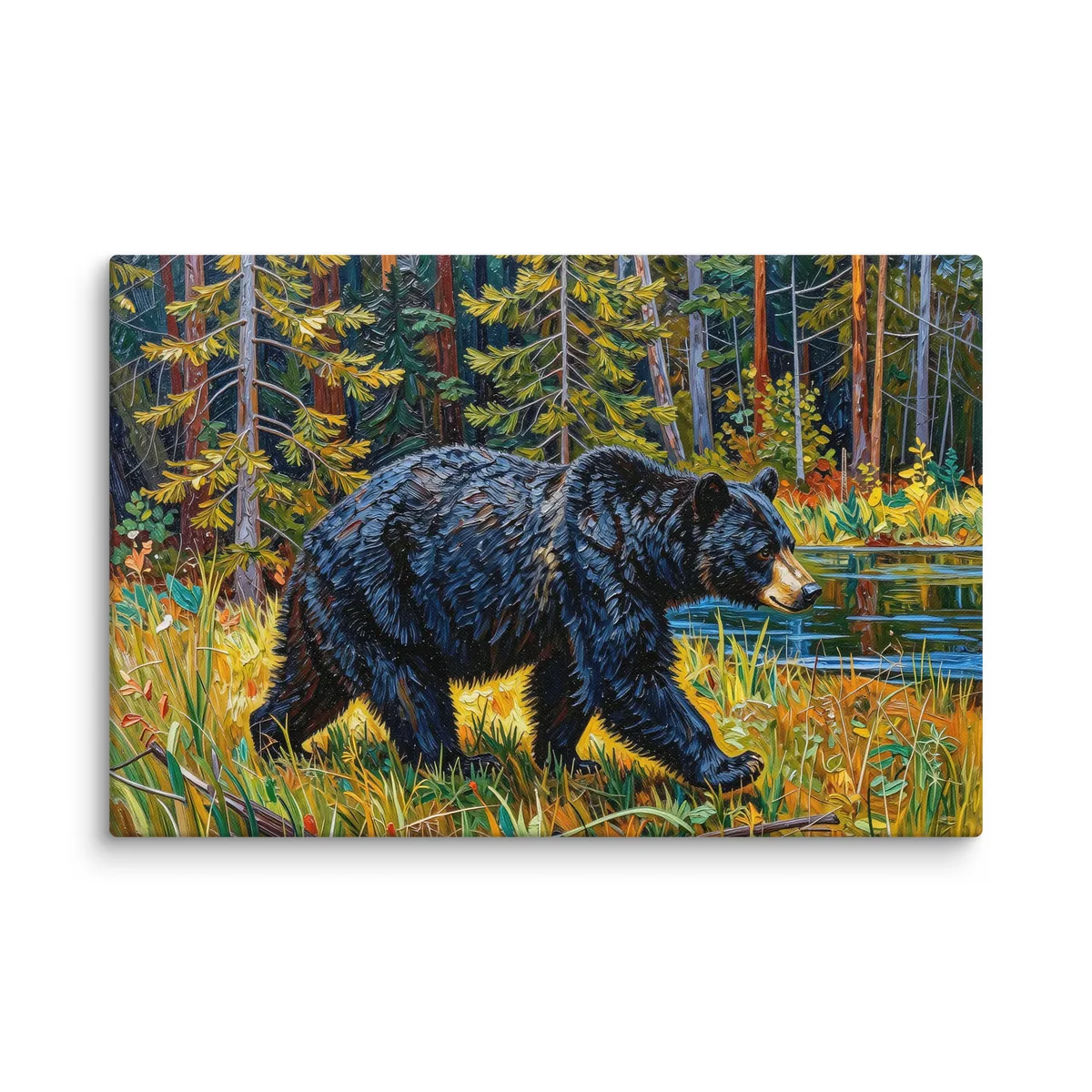 Black Bear at the Edge of the Woods as a 24 by 36 inch canvas: a black bear walking out of the spruce at the edge of a lake through tall grass in evening sun, in bold oil-painting brushstrokes.