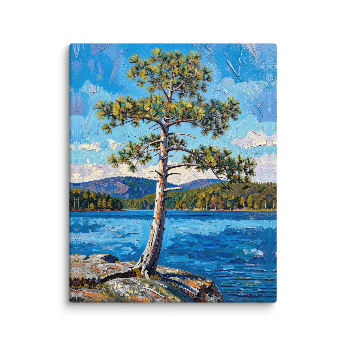 White Pine on the Point as a 16 by 20 inch canvas: a lone white pine leaning out from a granite point over a blue lake, with low mountains on the far shore, in bold oil-painting brushstrokes.